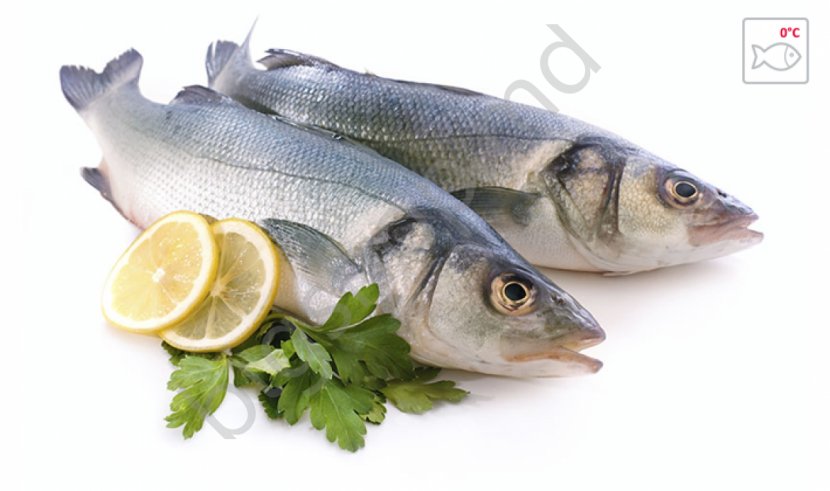 Oily Fish Seafood Eating - Milkfish Transparent PNG