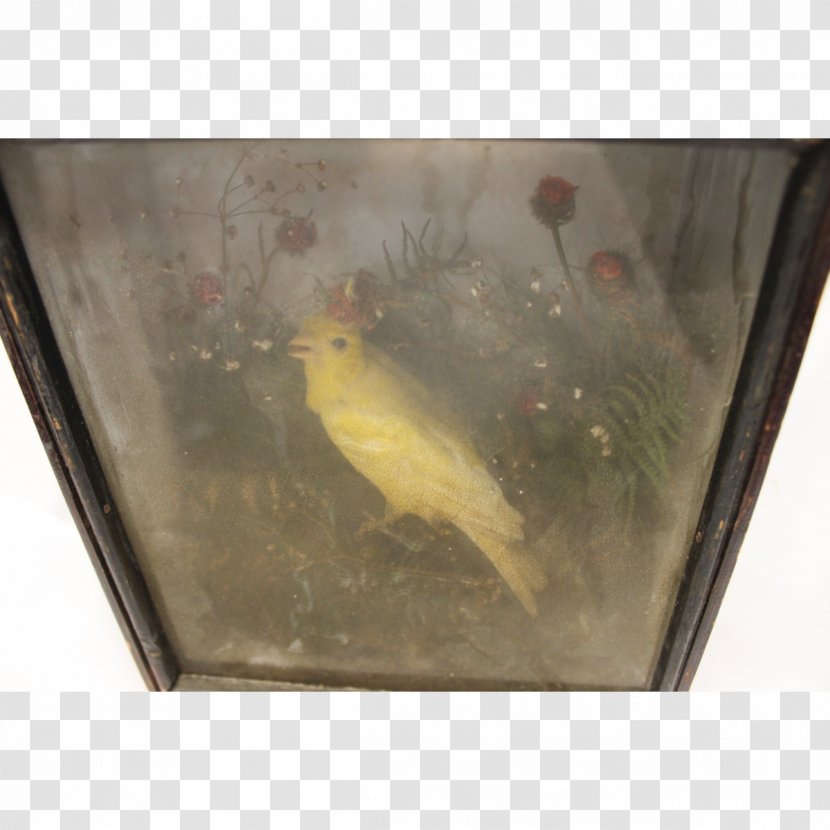 Fauna Fish - Little Yellow Bird Transparent PNG