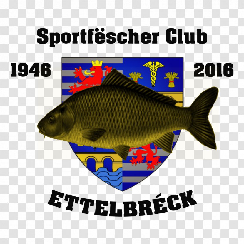 Ettelbruck Bettembourg Sport Fisher Alzette बाल गोत्र - Escher Transparent PNG