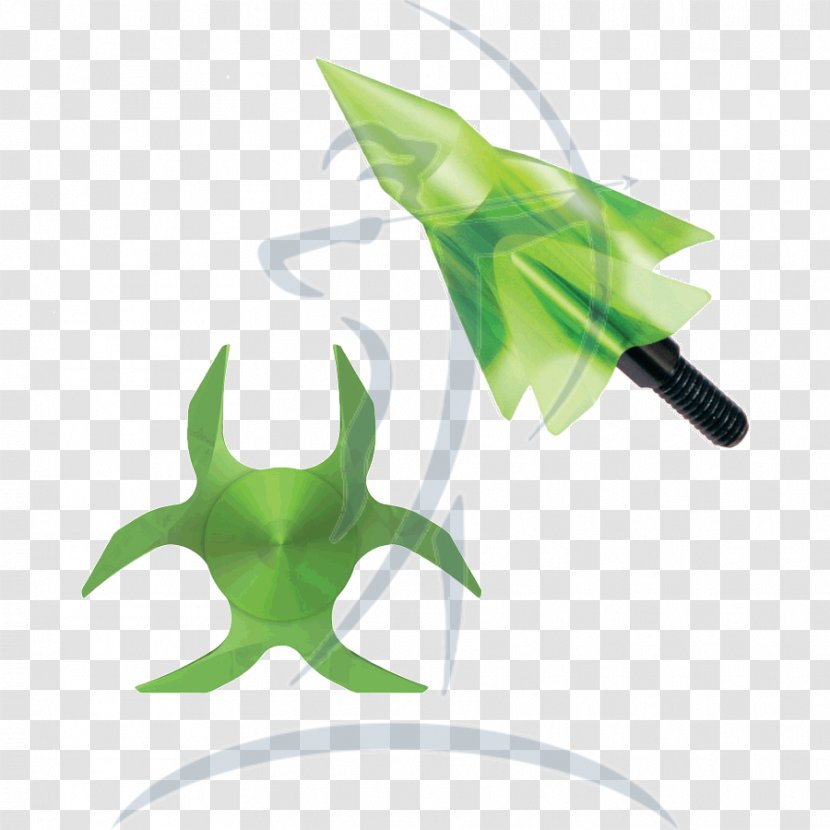 Grain Flying Arrow Archery Leaf - Plant - Magic Transparent PNG