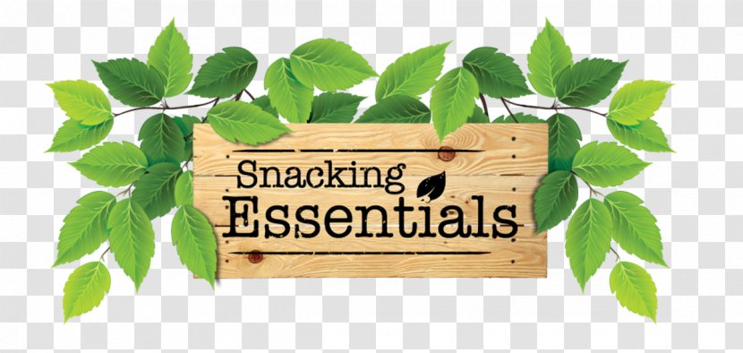 Snacking Essentials Dried Fruit Peanut Ingredient - Cashew Tree Transparent PNG
