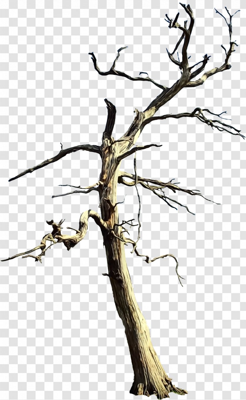 Vaporwave Tree - Trunk Woody Plant Transparent PNG