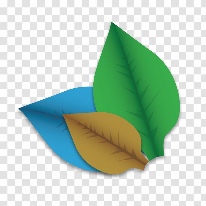 Leaf Euclidean Vector - Lotus Effect - Decoration Transparent PNG