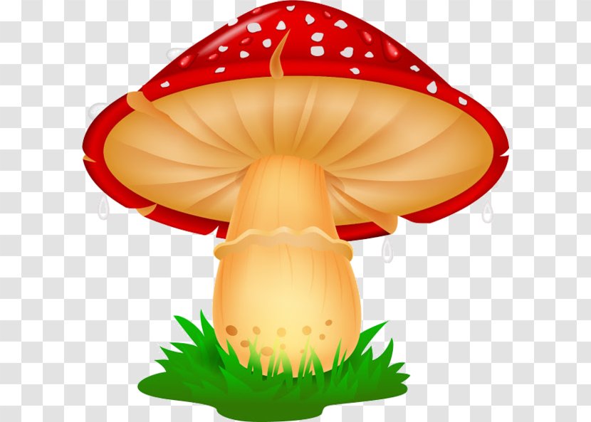 Mushroom Cartoon - Fungus Transparent PNG