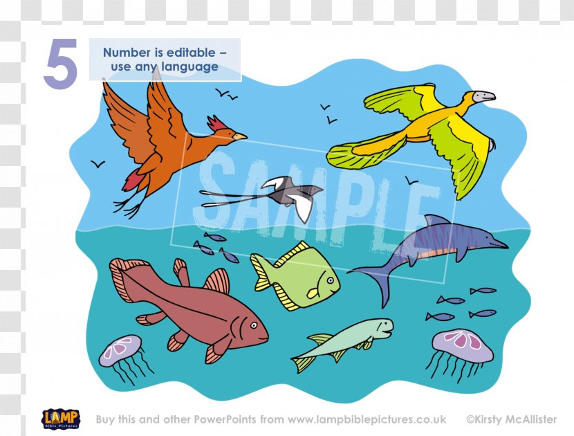 Fish Bird Genesis Creation Narrative Clip Art - Organism Transparent PNG