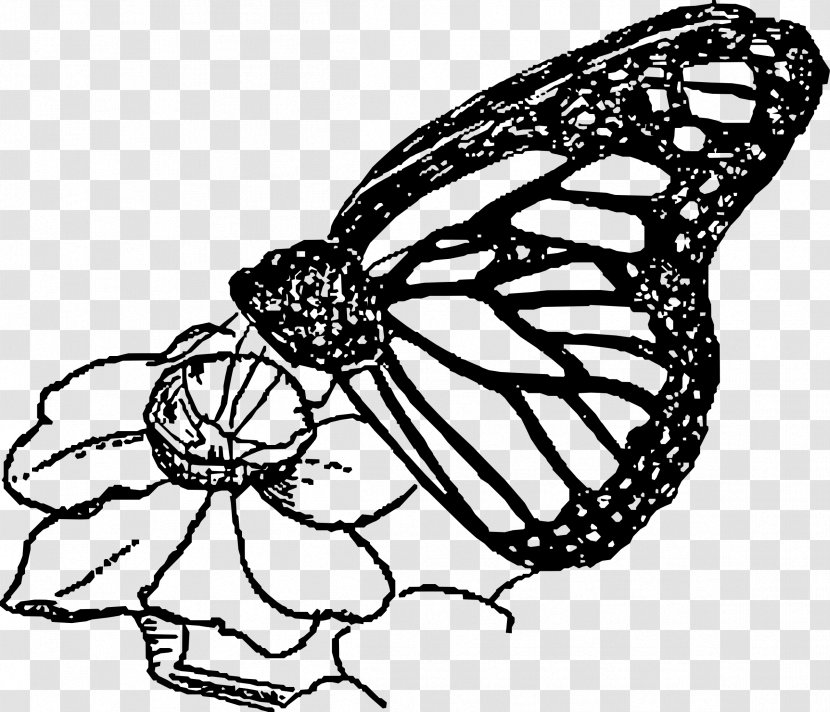 Monarch Butterfly Line Art Clip - Wing Transparent PNG