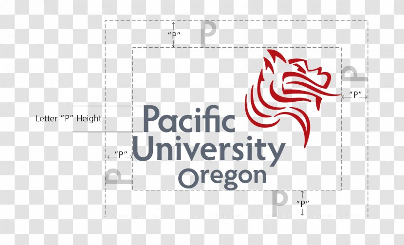 Pacific University Boxers Men's Basketball Lewis & Clark College Of The - Warner Transparent PNG
