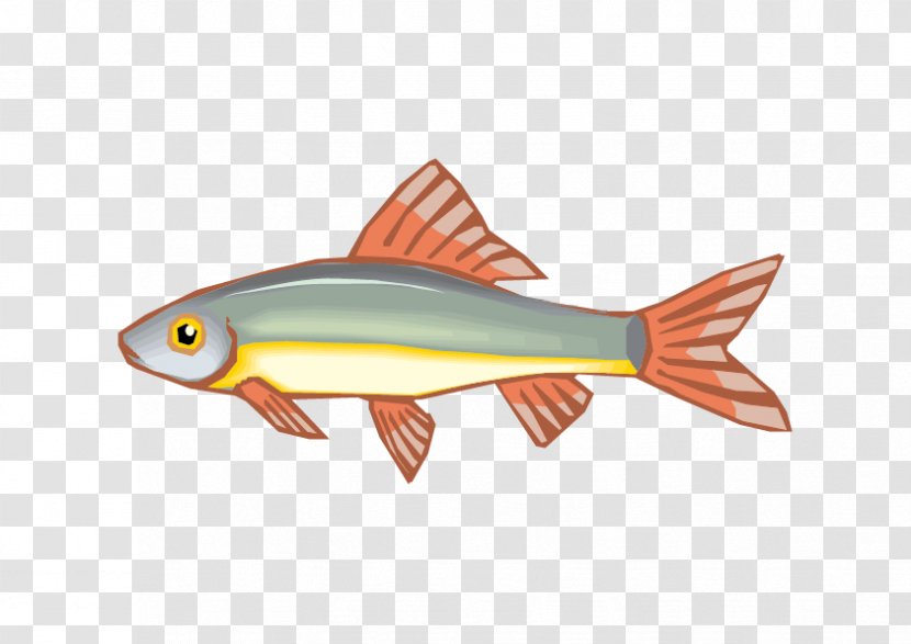 Animation Drawing - Fish - Vector Blue Transparent PNG