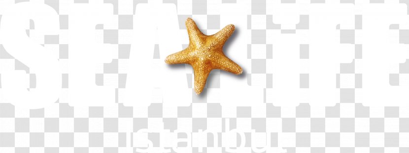 Starfish Body Jewellery Transparent PNG