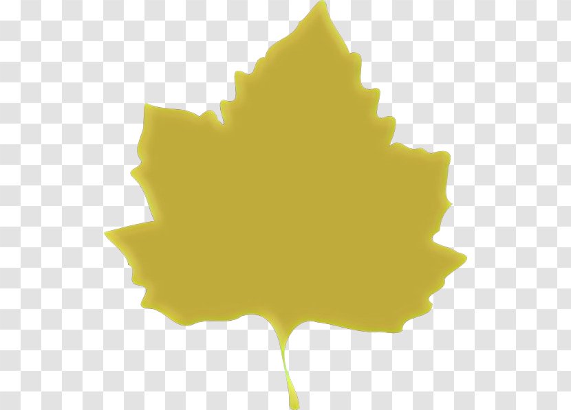 Maple Leaf - Yellow - Plant Transparent PNG