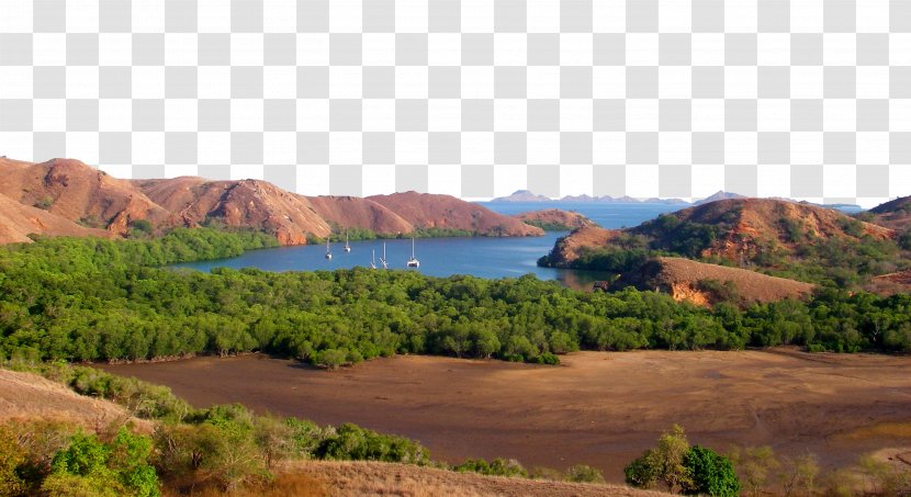 Flores Pink Beach Komodo National Park Sumbawa - Hill Station - Indonesia Pictures Transparent PNG