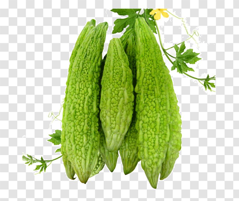 Biryani Leaf Vegetable Breakfast Cereal Indian Cuisine - Green Bean Transparent PNG