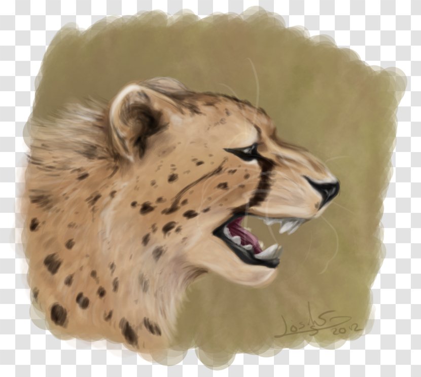 Cheetah Whiskers Cat Snout Fur - Conservation Fund Transparent PNG