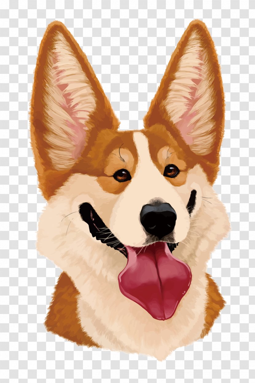 Pembroke Welsh Corgi Yorkshire Terrier Puppy Caricature Drawing - Dog Breed - Vector Coco Transparent PNG