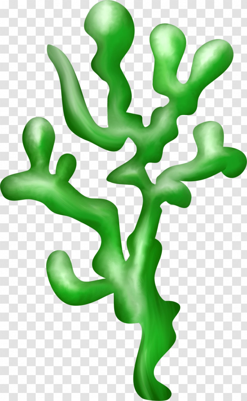 Algae Seaweed Plant Flora Clip Art - Stem Transparent PNG