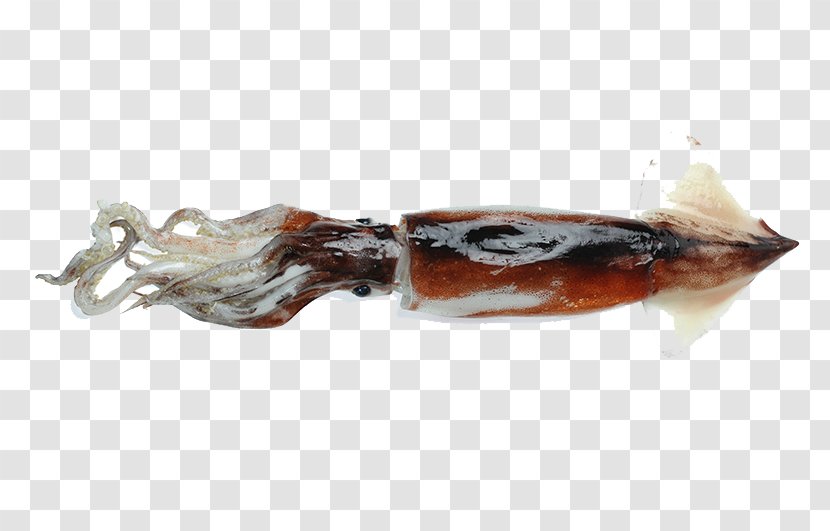 Squid Photography Seafood - Chinese Food Fish Transparent PNG