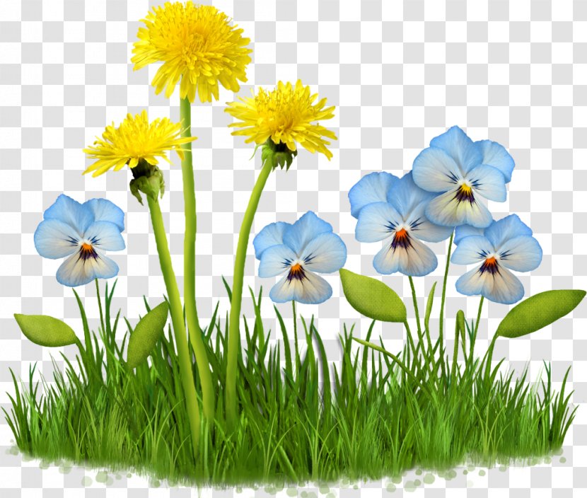 Spring Animaatio Computer Animation Clip Art - Internet - Meadow Flower Transparent PNG