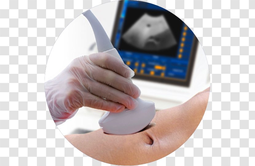 Ultrasonography Ultrasound Interventional Radiology Medicine - Prenatal Care - Pregnancy Transparent PNG