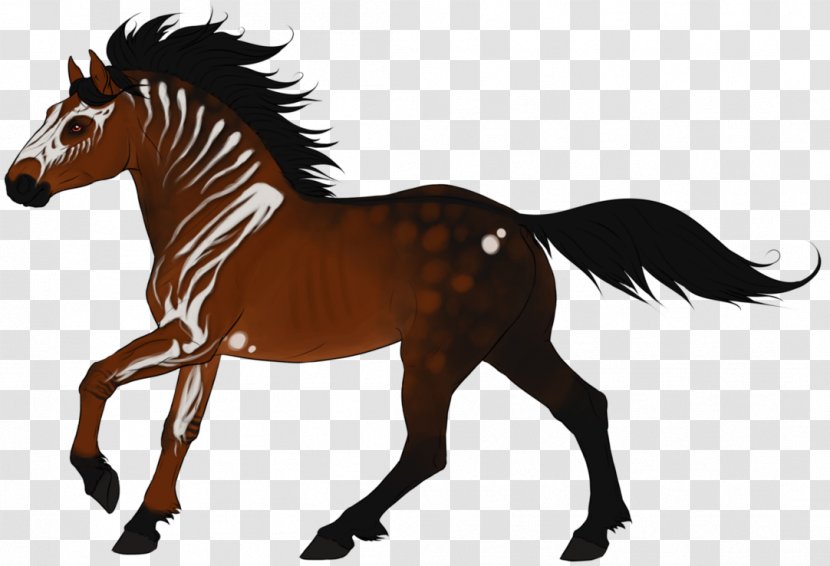Foal Stallion Mustang Mare Colt - Animal Figure Transparent PNG
