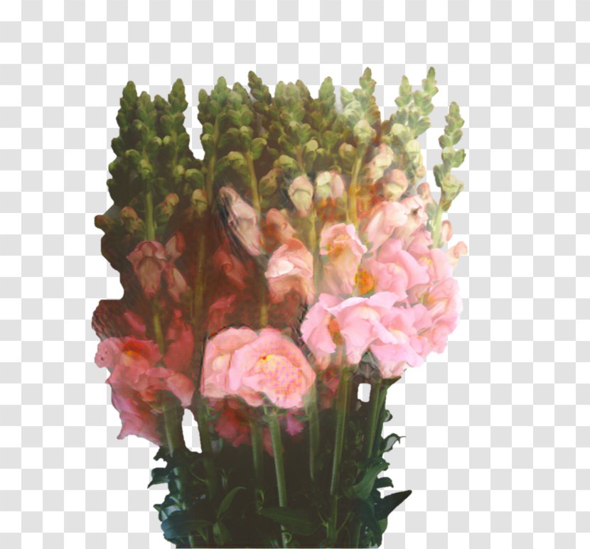 Cut Flowers Snapdragon Floral Design Blume - Petal - Flowering Plant Transparent PNG