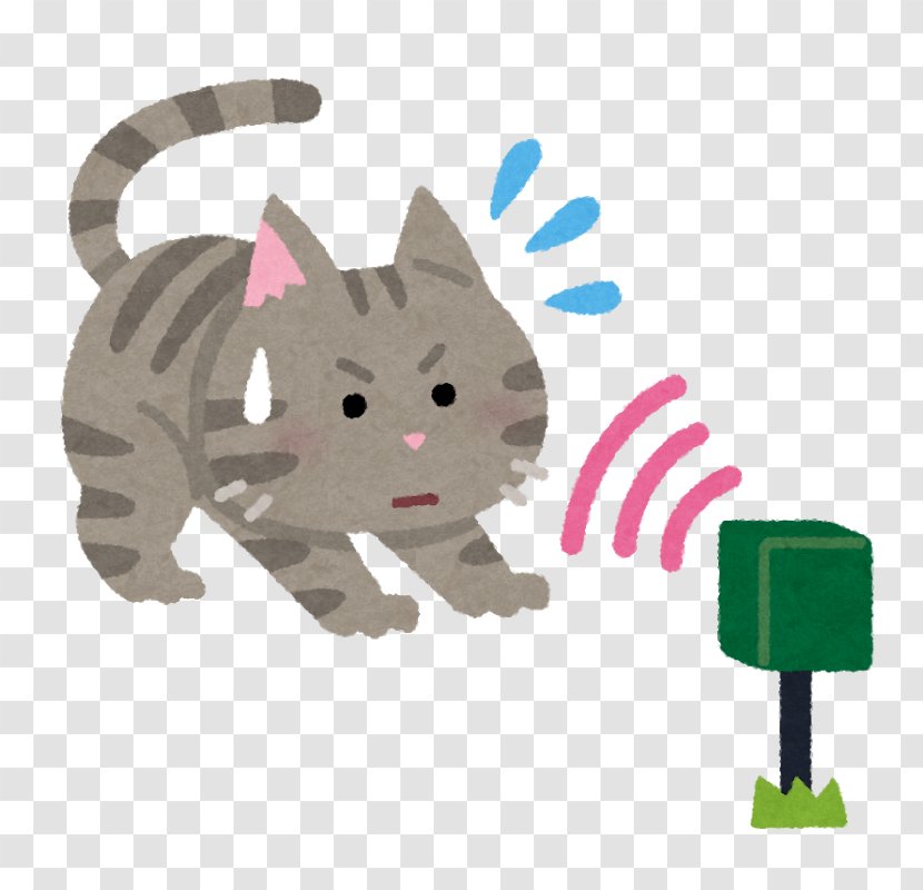 Cat Illustration Whiskers Clip Art Image Transparent PNG