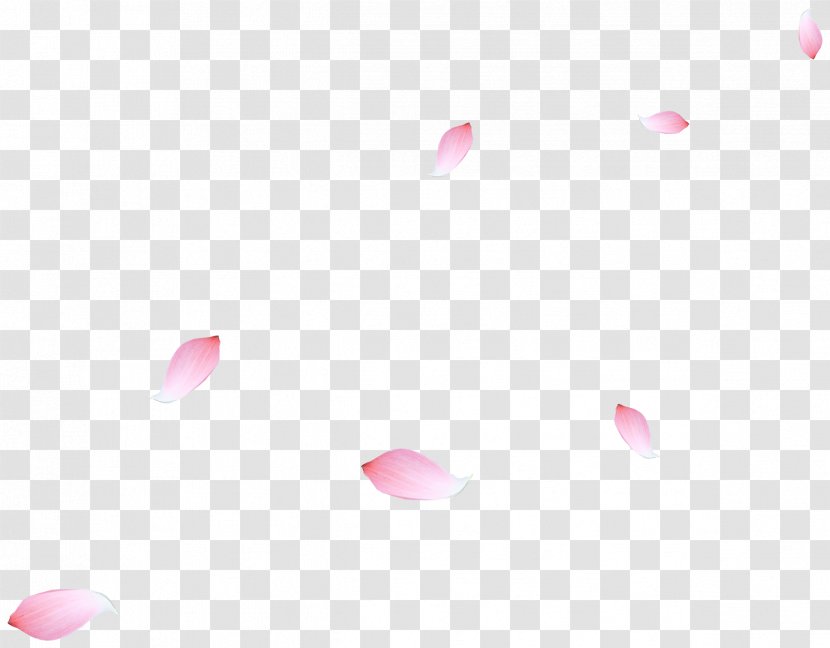 Petal Heart Pattern - Pink - Falling Petals Transparent PNG