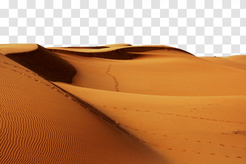 Sahara Erg Desert Continent Sand - Archaeology Transparent PNG
