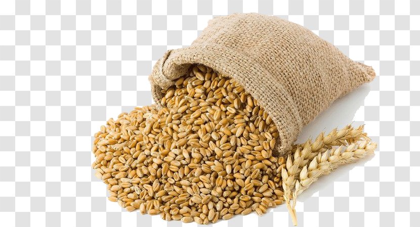 Grist Beer Malt Cereal Braumalz - Commodity Transparent PNG