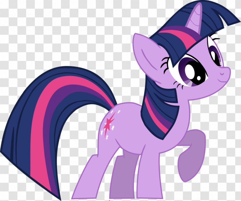 Twilight Sparkle Rarity Rainbow Dash Pinkie Pie Pony - Flower - Youtube Transparent PNG