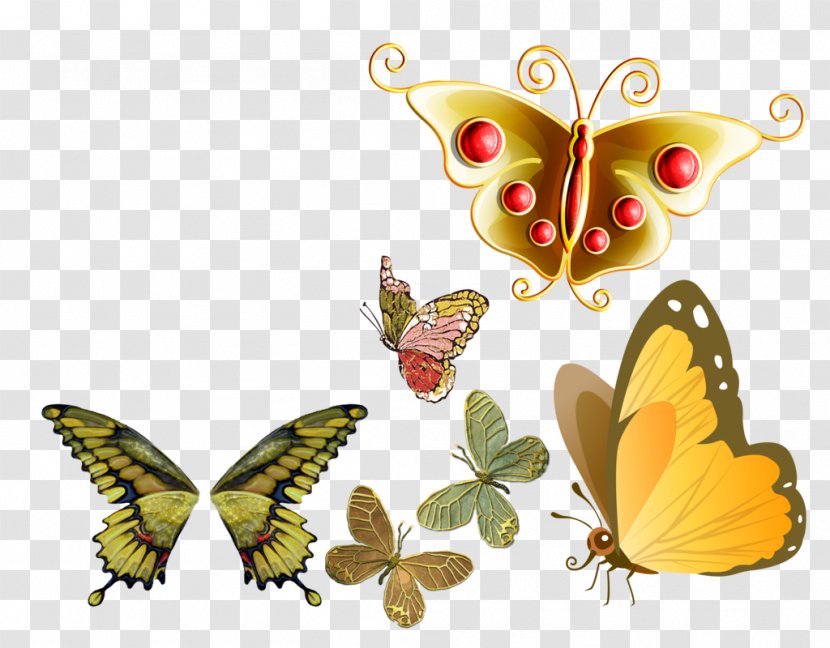 Butterfly Painting Clip Art - Perch Transparent PNG