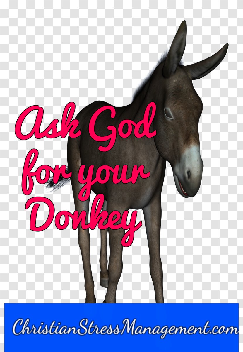 Mule Foal Stallion Halter Colt - Mane - Stress Quotes Inspirational God Transparent PNG
