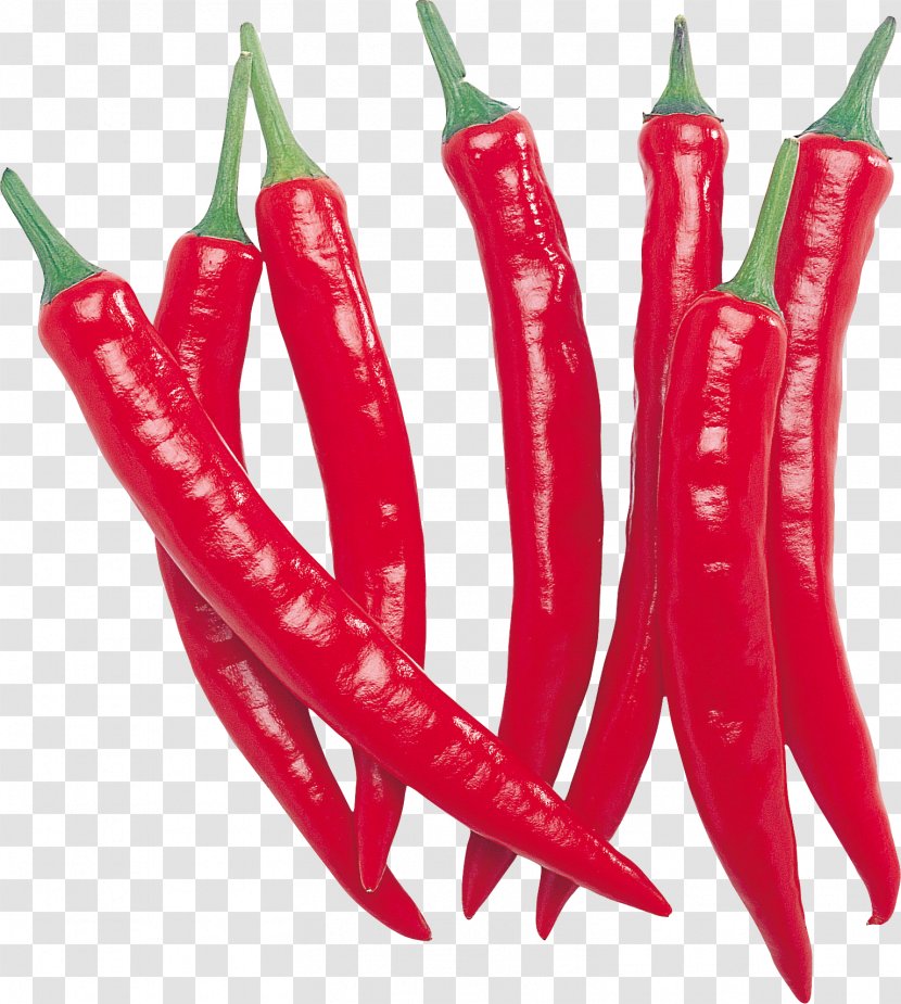 Bell Pepper Chili Cayenne Vegetable - Capsicum Annuum - Red Image Transparent PNG