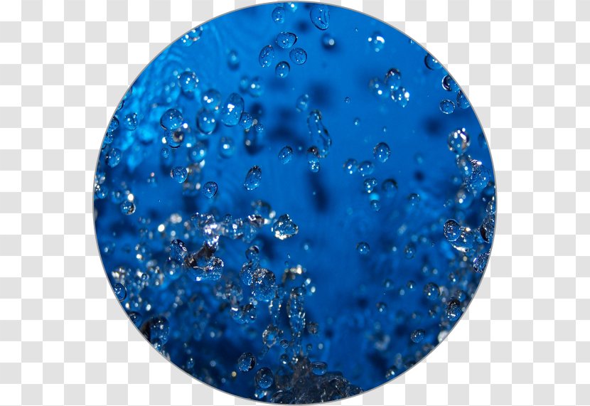 Glitter Organism Water - Drop Transparent PNG