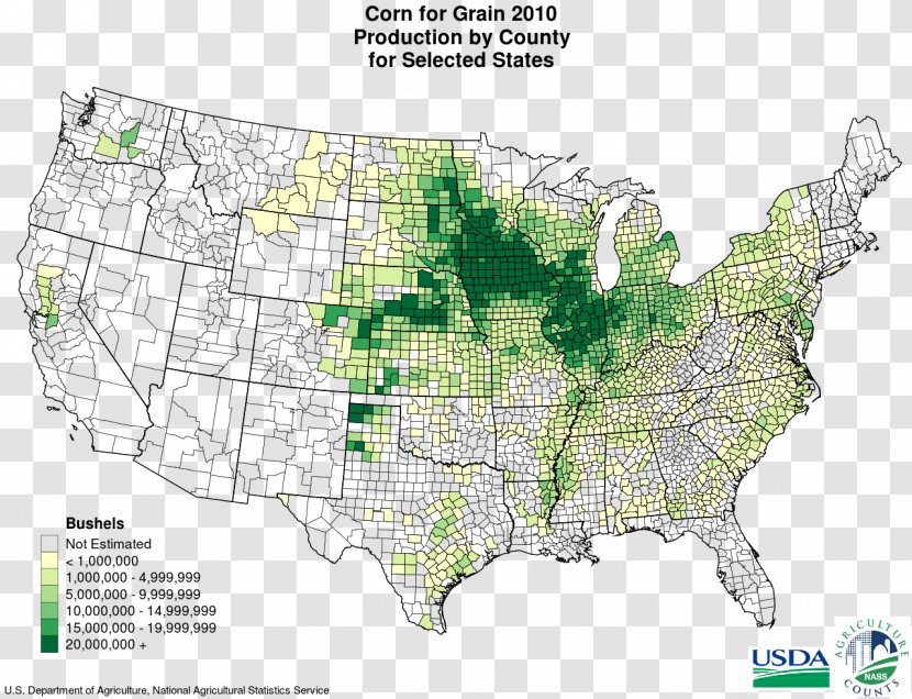 Corn Belt Midwestern United States Maize Production In The Crop - Grain Transparent PNG