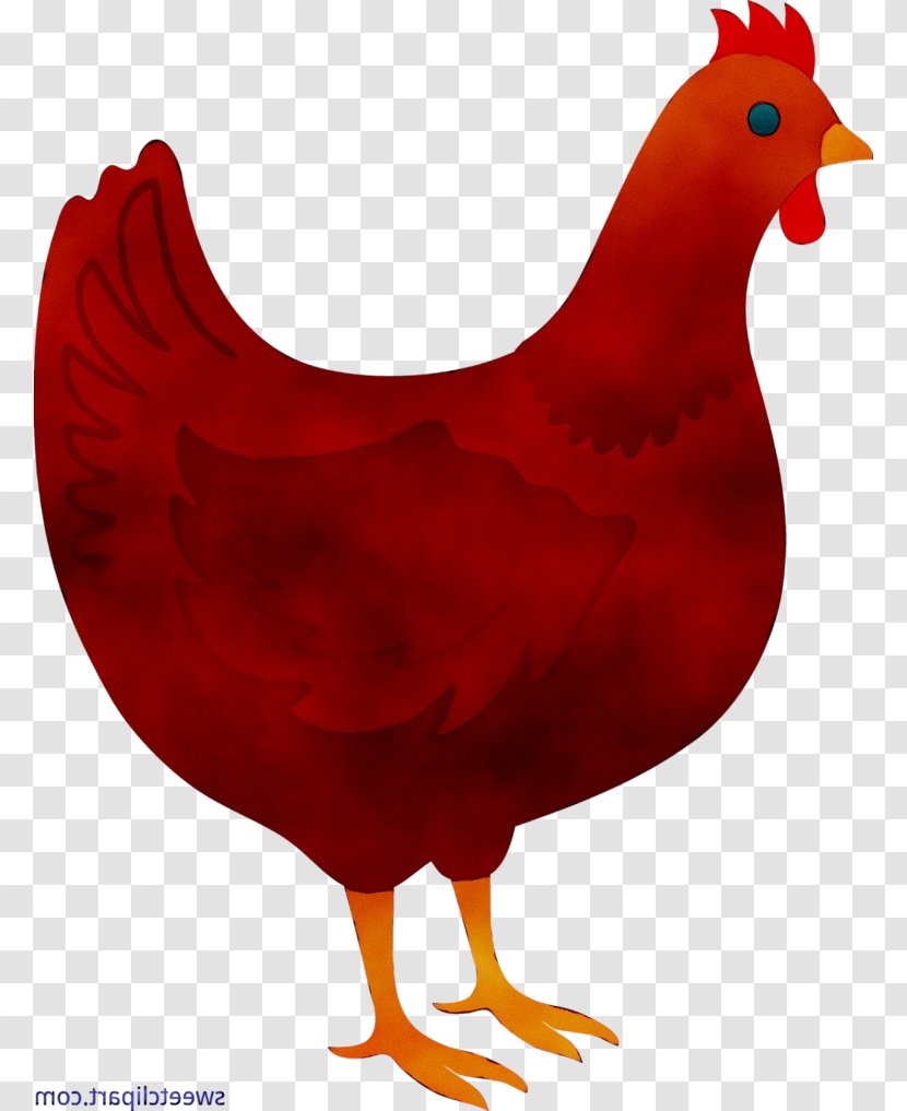 Rooster Chicken Clip Art Bird World Wide Web - Galliformes - Com Transparent PNG