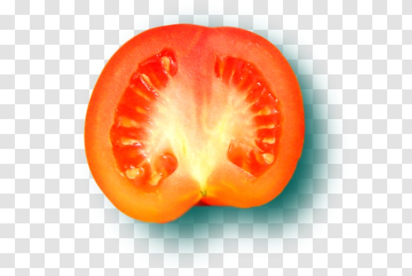Plum Tomato Food Winter Squash Blood Orange - Closeup - Meal Preparation Transparent PNG