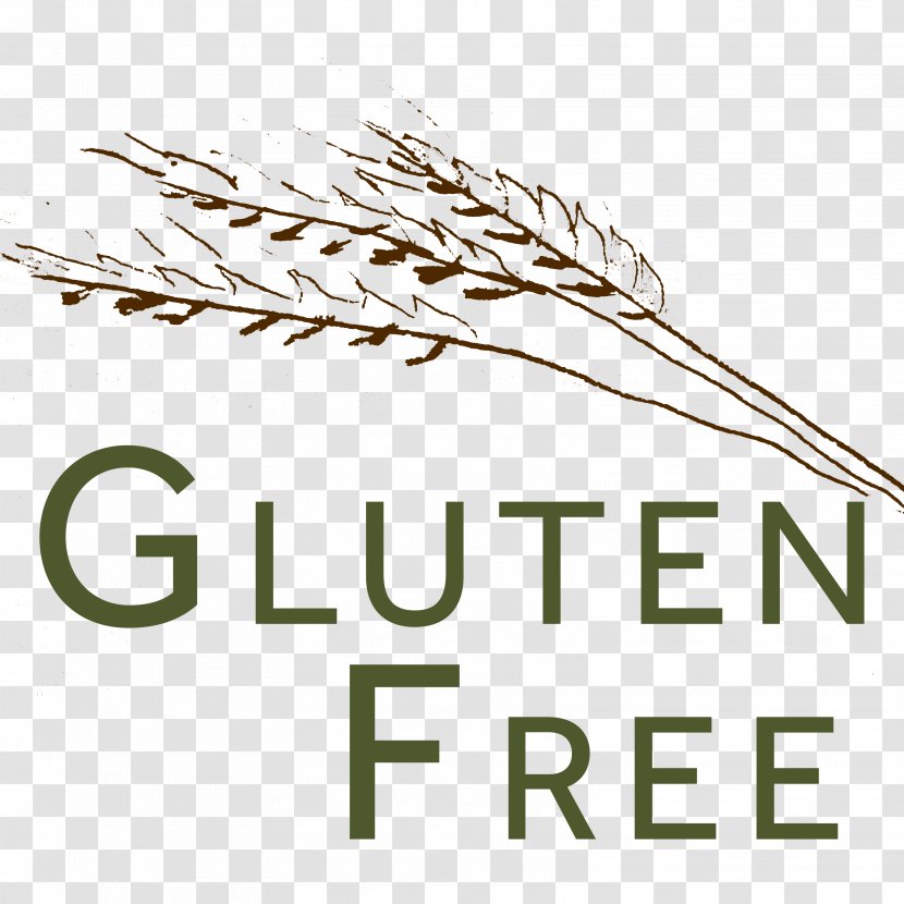 Celiac Disease Gluten Freedom: The Nation's Leading Expert Offers Essential Guide To A Healthy, Gluten-Free Lifestyle Gluten-free Diet Food - Gastroenterology Transparent PNG