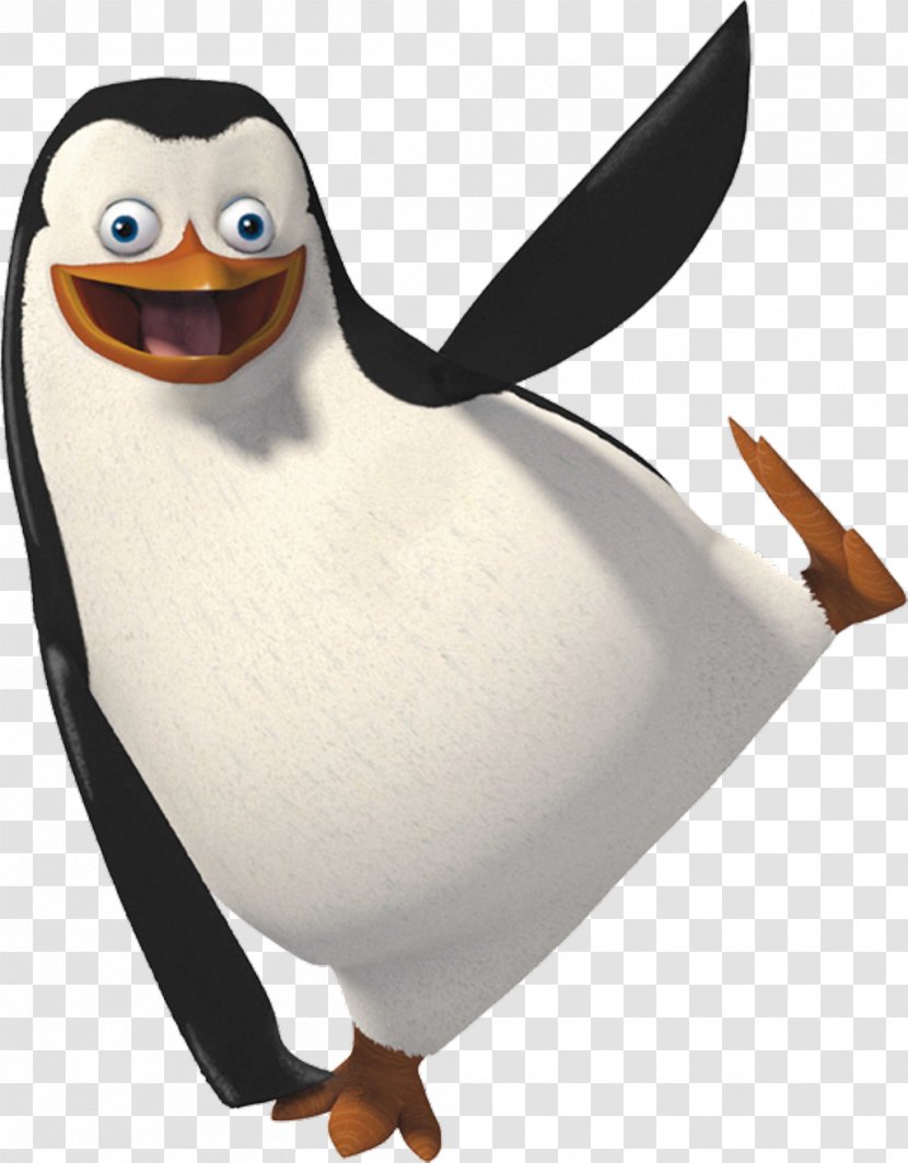 Penguin Clip Art Madagascar Image - Flightless Bird - Gloria From Skipper Transparent PNG