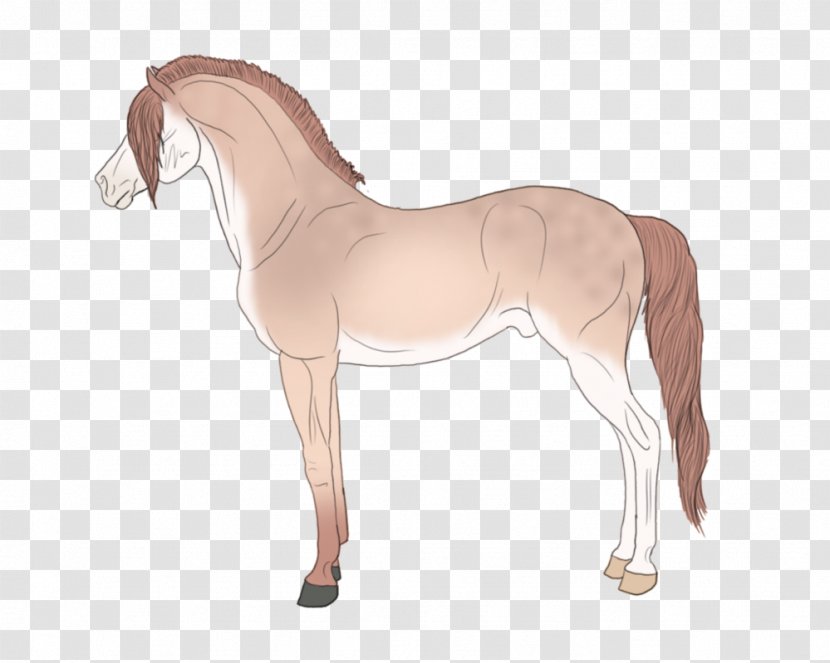 Foal Mane Stallion Mare Colt - Neck - Cowboy Horse Racing Transparent PNG
