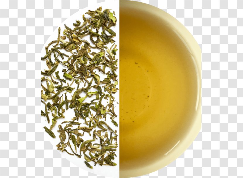 Hōjicha Darjeeling Tea Green Nilgiri Transparent PNG