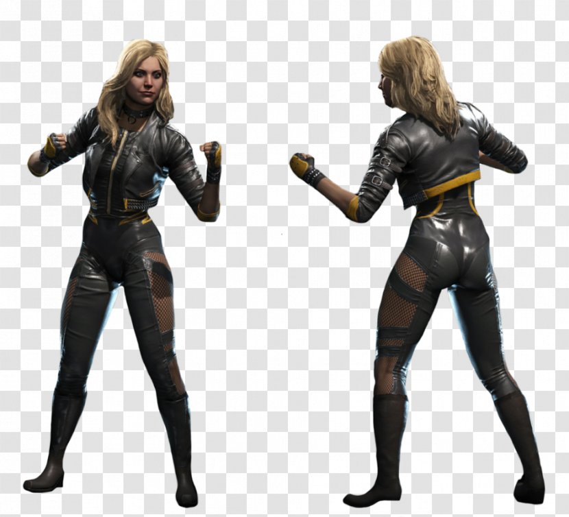 Injustice 2 Injustice: Gods Among Us Black Canary Green Arrow Aquaman - Flower Transparent PNG