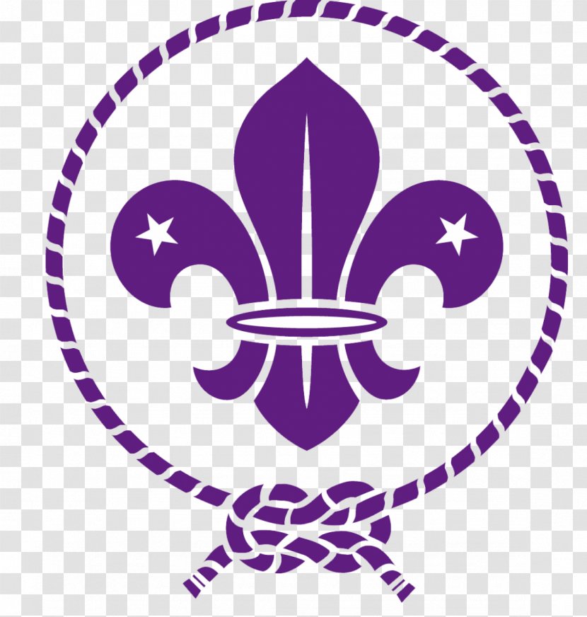 Scouting For Boys World Scout Emblem Organization Of The Movement Boy Scouts America - Cub - Internationaal Volkssportverband Transparent PNG