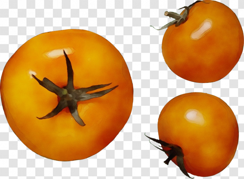 Tomato Transparent PNG