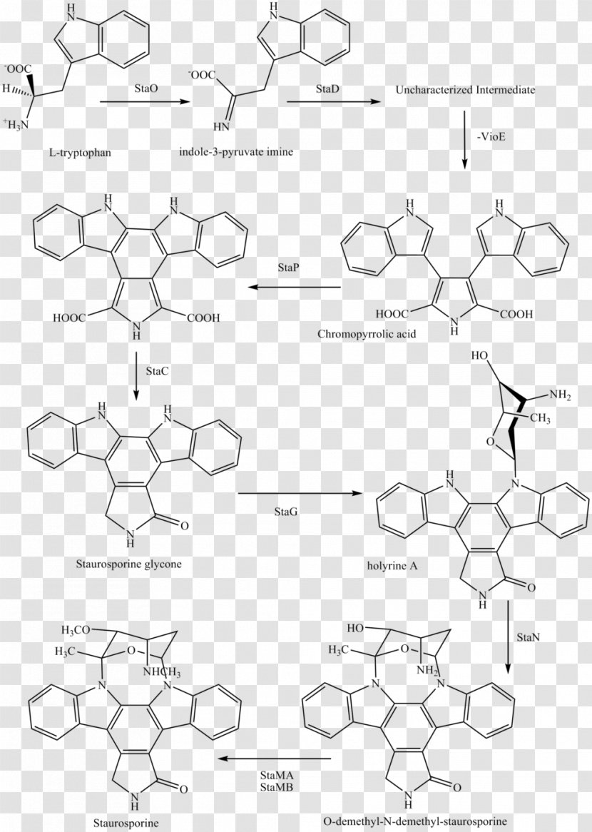 Chemical Synthesis Staurosporine Midostaurin Chemistry Semisynthesis - Compound - Line Art Transparent PNG