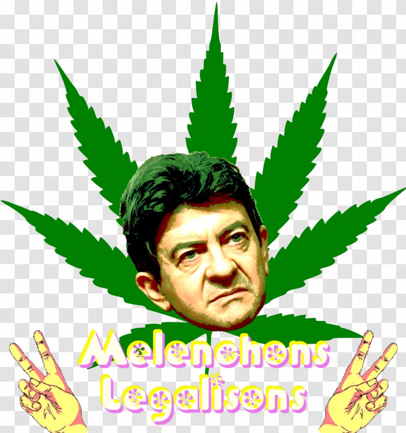 Cannabis Drawing Clip Art - Legalization Transparent PNG