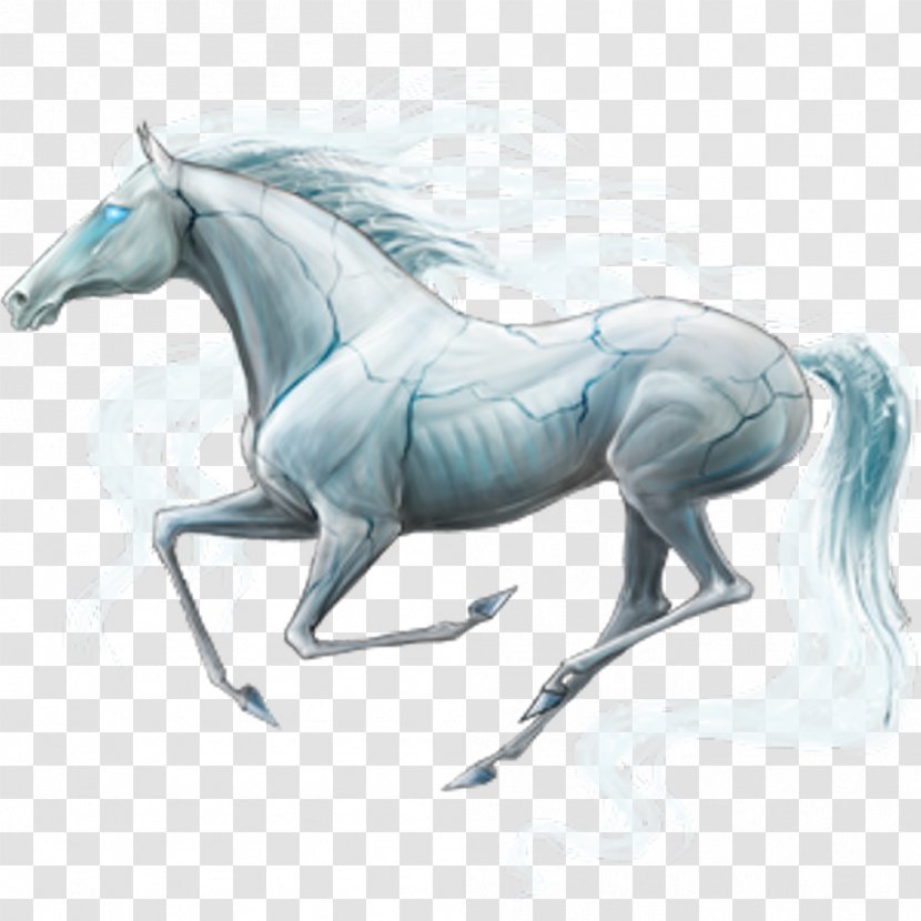 Mustang Howrse Arabian Horse Thoroughbred Mane - Rein Transparent PNG