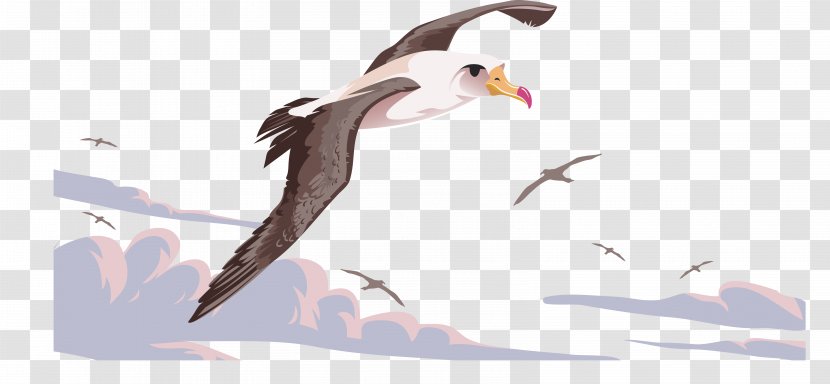 Bird Flight Beak Albatross - Hand - The Flying Crane Transparent PNG