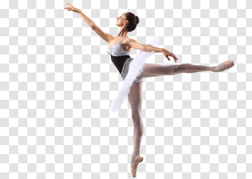 Ballet Dancer Choreography Tutu - Tree - Dance Transparent PNG