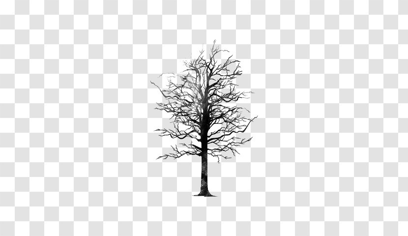 Twig Tree Editing - Monochrome Transparent PNG