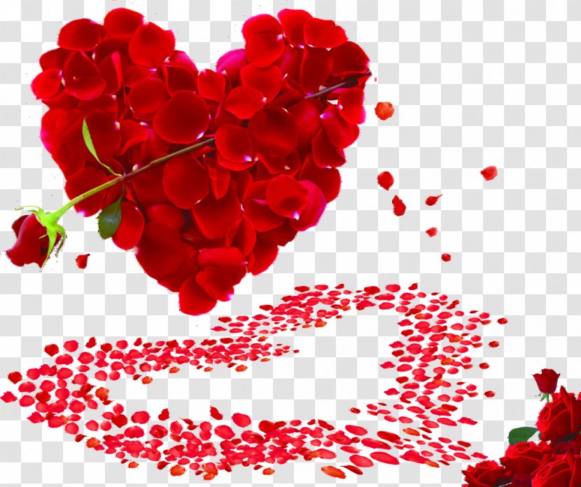Valentines Day Propose Heart Wallpaper - Rose Transparent PNG